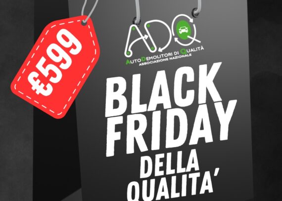 PHOTO 2025 11 14 16 49 49