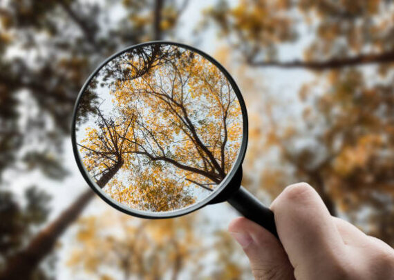 istockphoto 1924410005 612x612