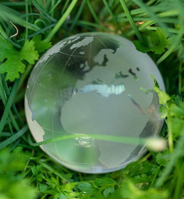 economia circolare terra